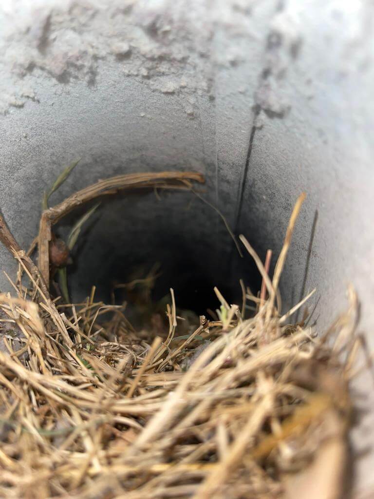 Deep air duct cleaning Austin TX